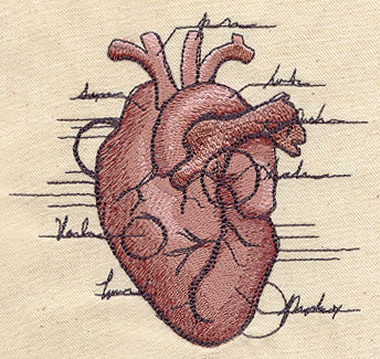 Anatomical Heart - Image 3